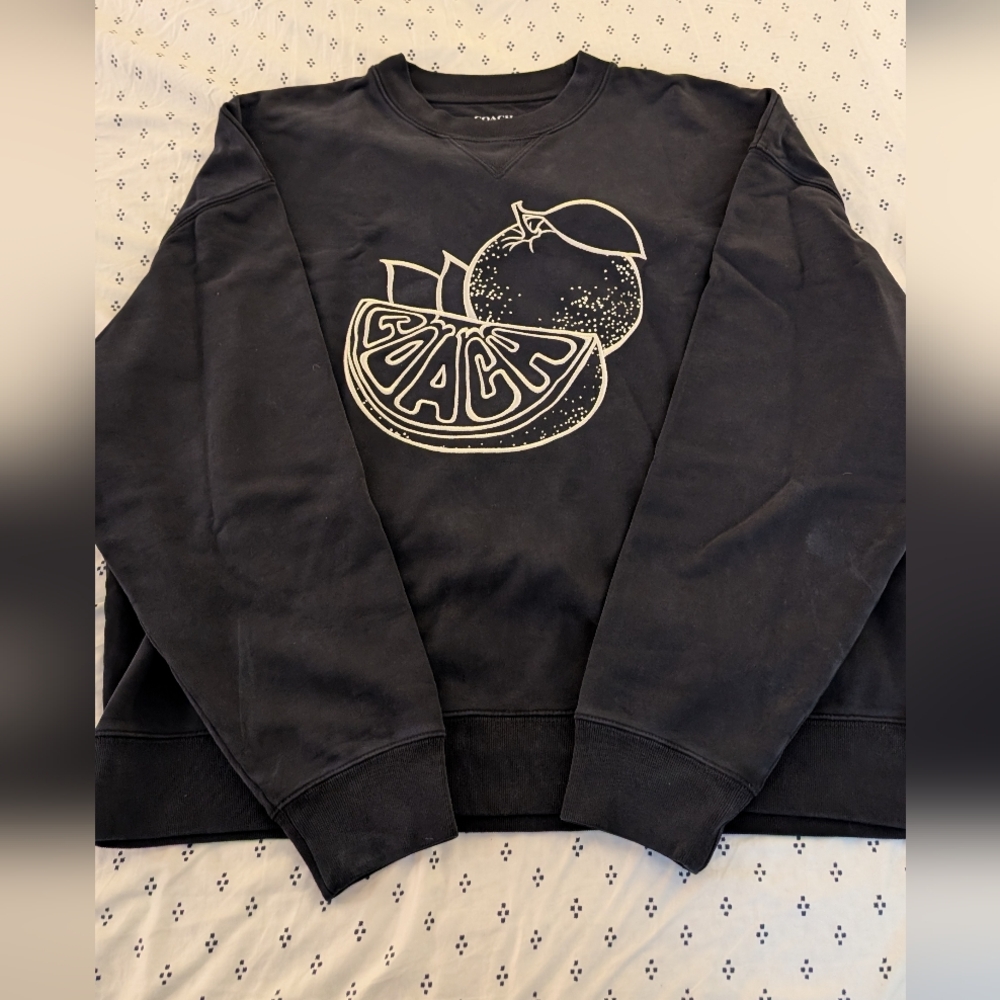 COACH Oversized Embroidered Sweatshirt Orange Design Streetwear 2025 - Picture 3 of 5